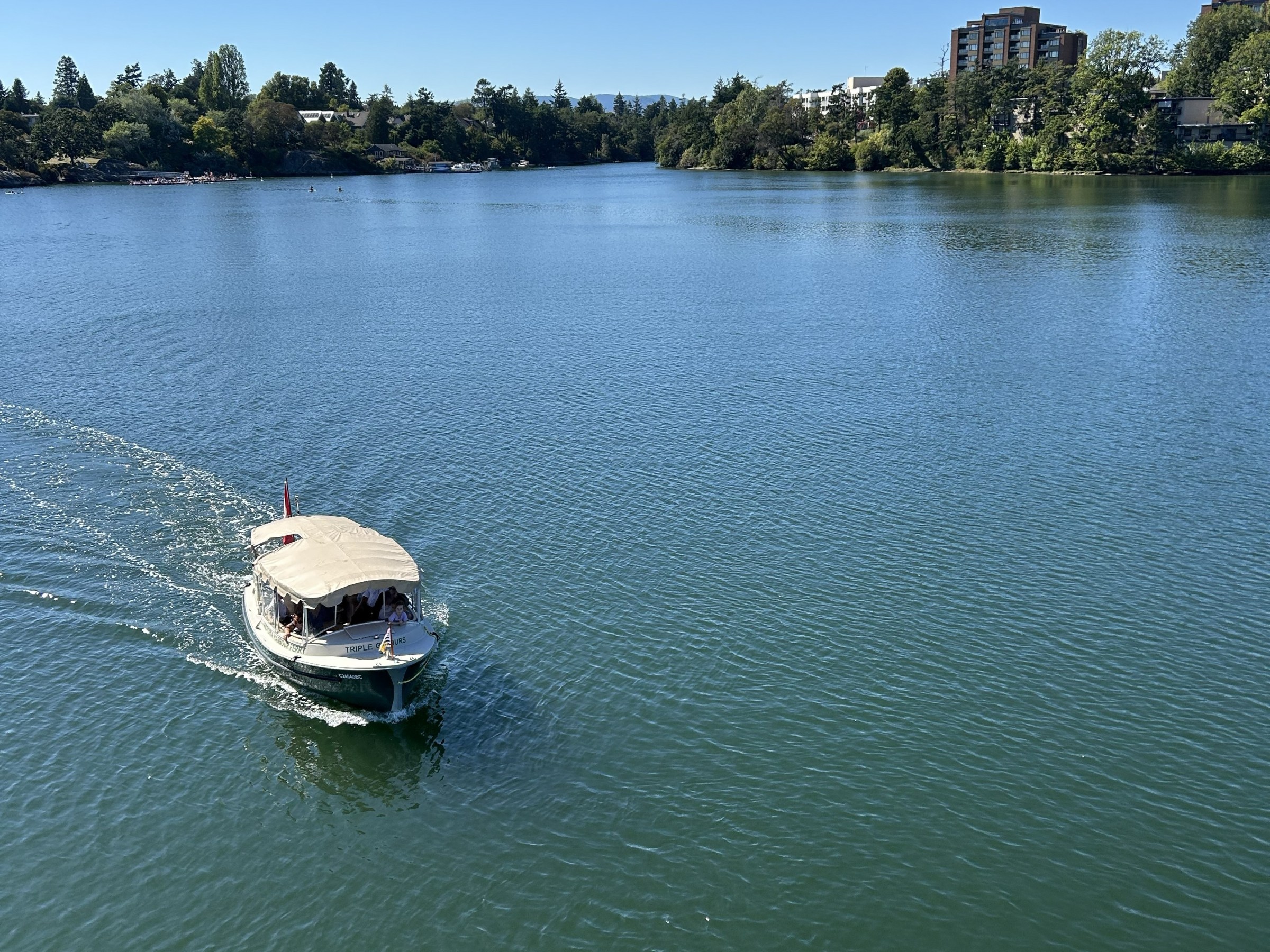 Small boat on a calm lake under a clear blue sky near wooded shorelines.